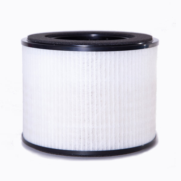 TechCare Air Purifiers Replacement Air Purifier Filter TC-6020B